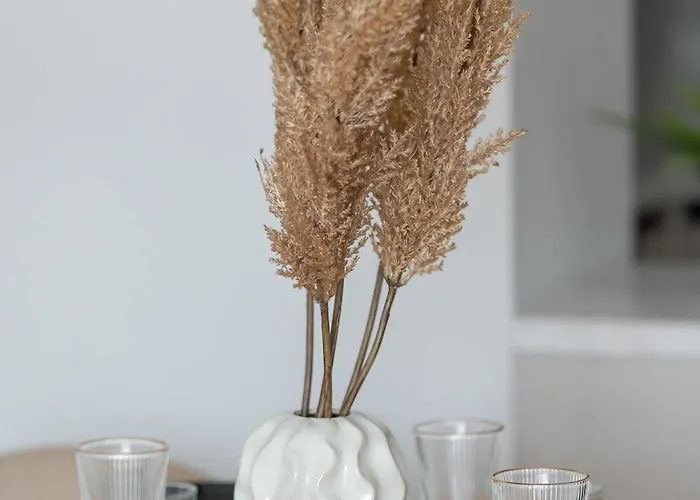 Beige And Two Bedroom In With Parking And Bathtub By Renters Apartamento *